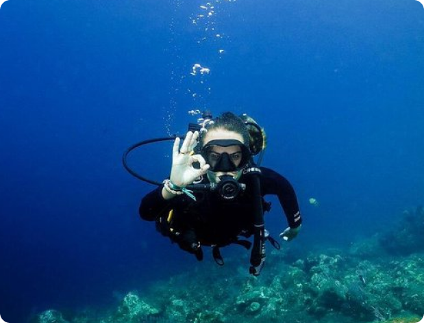 Scuba diver in the water