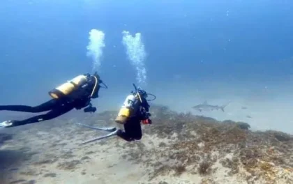 Bubbles for Vets scruba diving