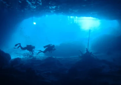 Bubbles for Vets scruba diving