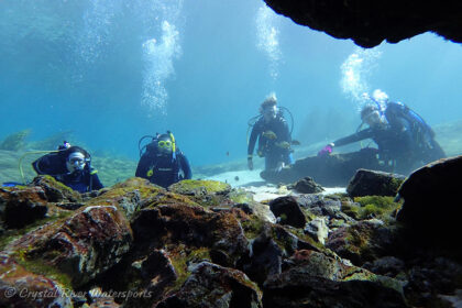 Bubbles for Vets scruba diving