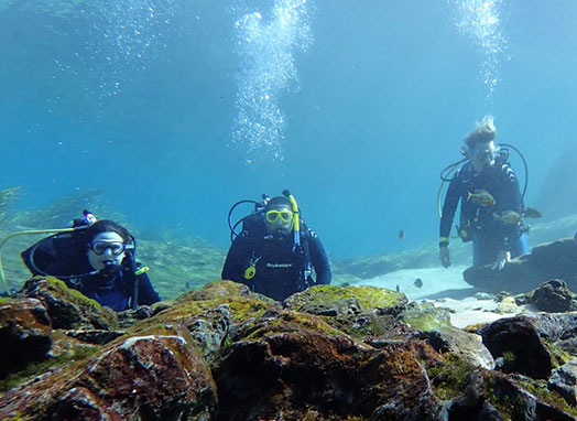 The Stevenson family